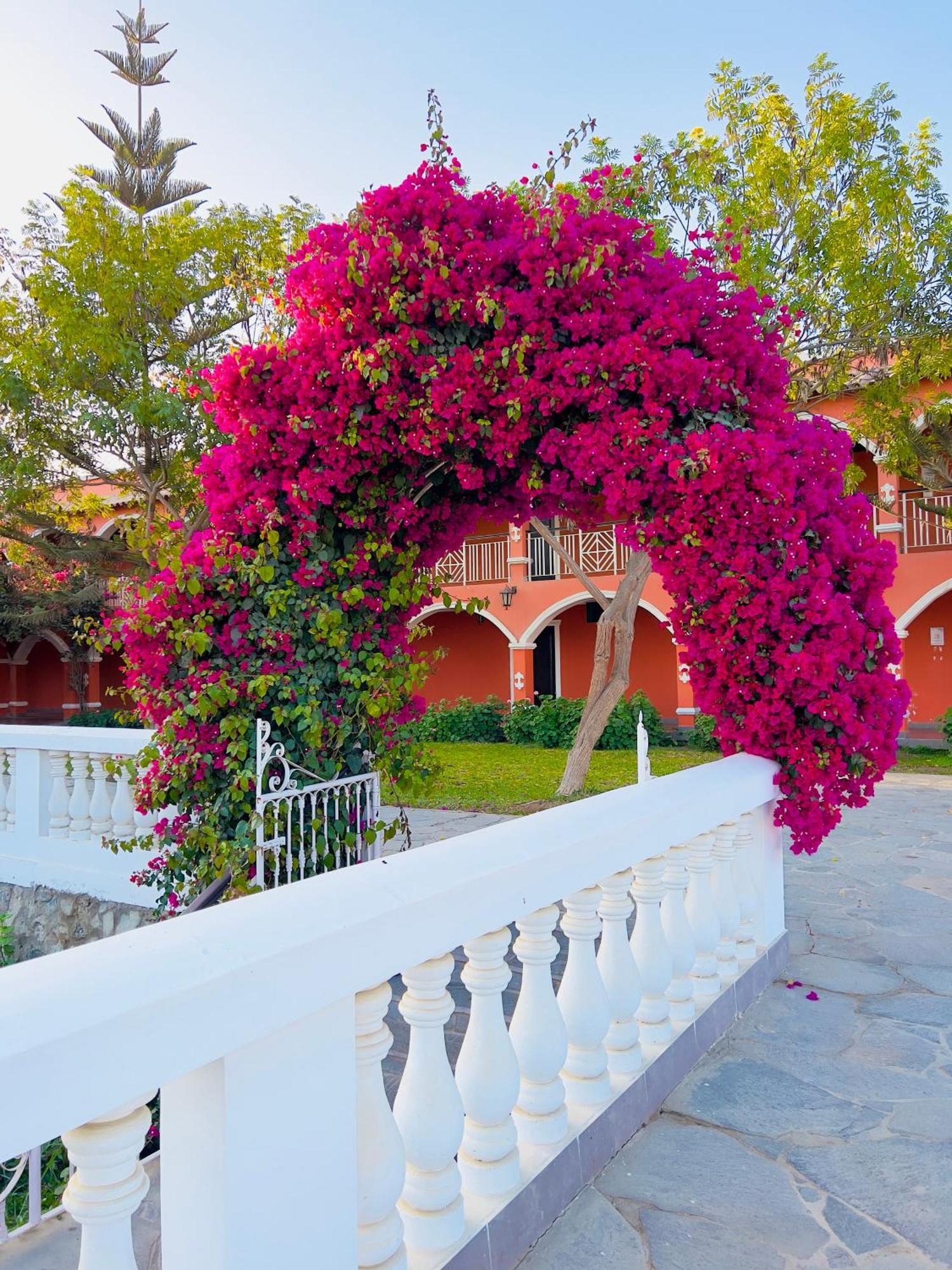 Hacienda San Juan Resort San Juan Bautista Exterior photo